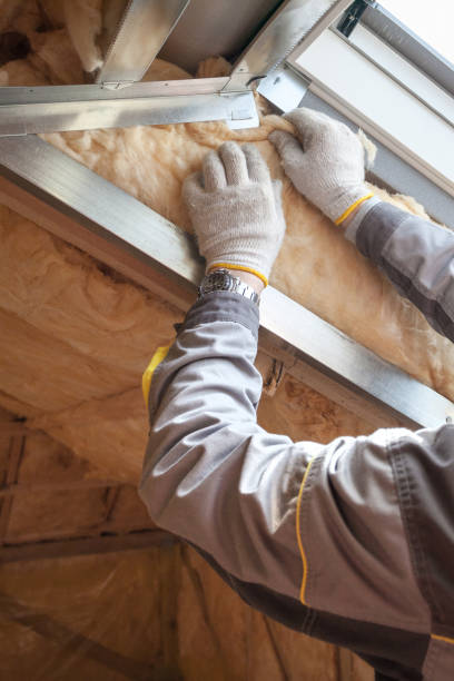 Best Commercial Insulation in Round Lake Heights, IL
