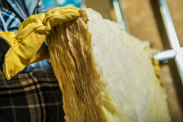 Best Residential Insulation in Round Lake Heights, IL